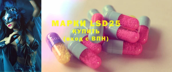 индика Инсар