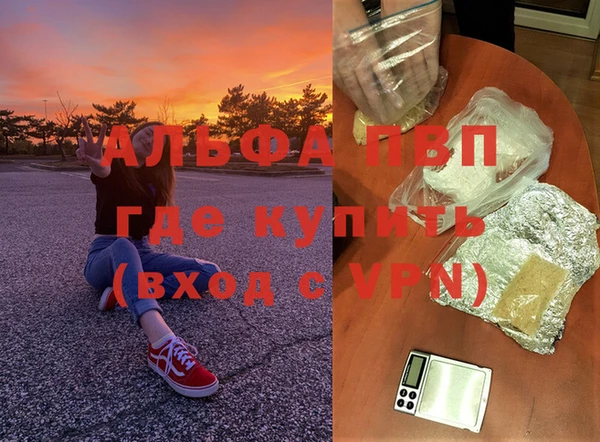 гашик Зерноград