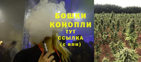 не бодяженный Иннополис