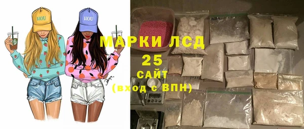 индика Инсар