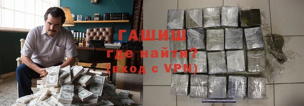 индика Инсар
