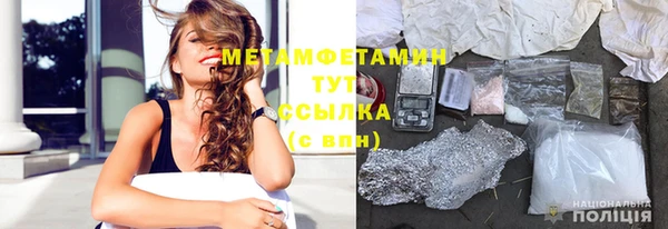 индика Инсар