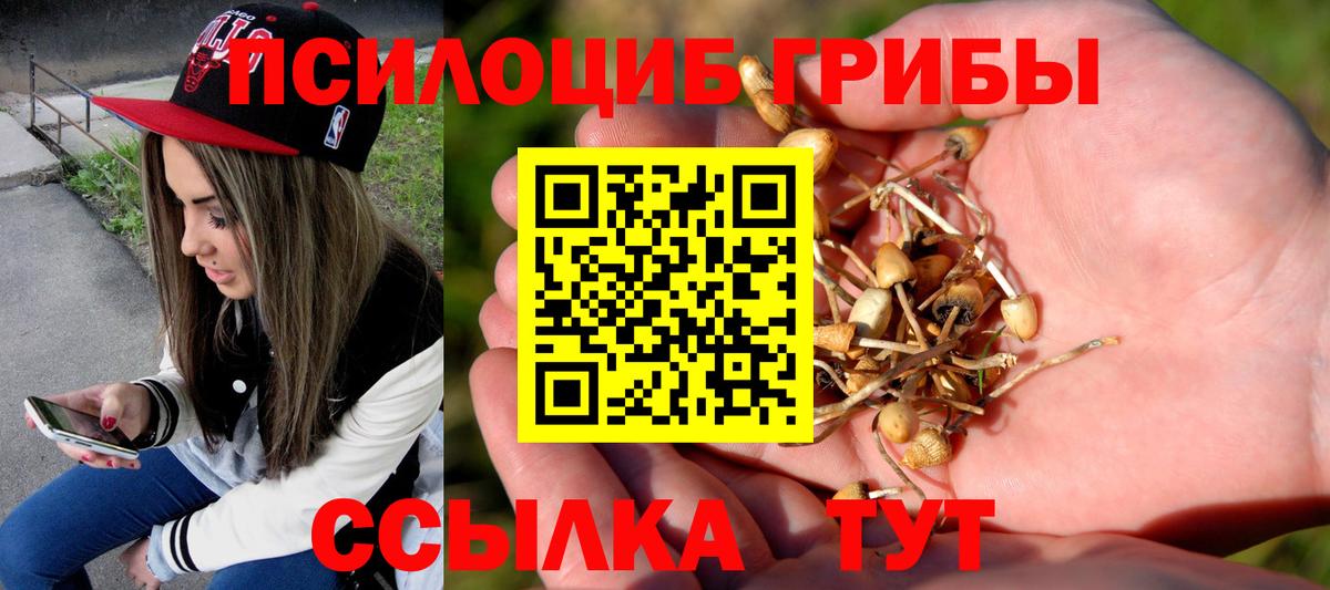 Галлюциногенные грибы мицелий  Галлюциногенные грибы мухоморы  Искитим  Вход с VPN 